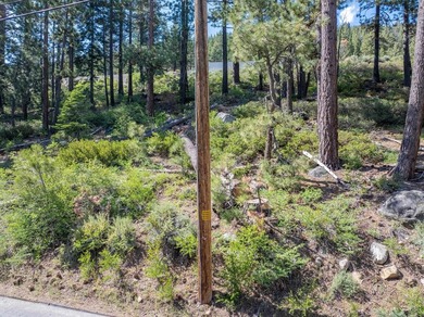 Have a look at this rare, large residential lot for sale at - photo 10