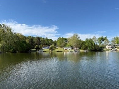 Beautiful Level Waterfront Lot With Your Own Private Dock - photo 22