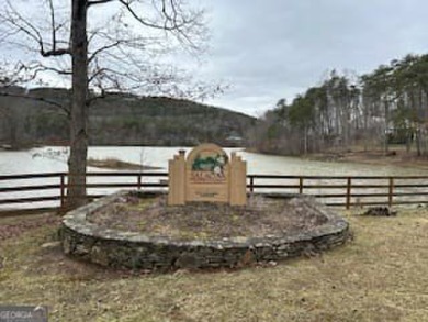 Lake Lot Sale Pending in Jasper, Georgia