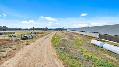 Great rare find - Simmons Farm with 9 broiler houses, (3) - photo 19