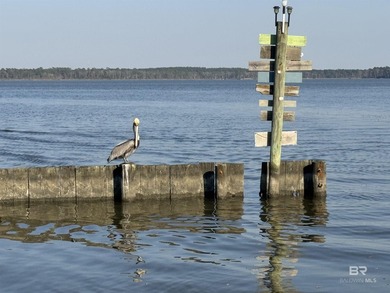 2022, Custom Built, Charming Waterfront Cottage, Gold Fortified - photo 22