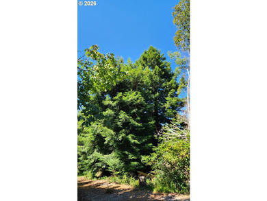 This newer 2bdrm 2 bath with study is tucked into a beautiful 1 - photo 40