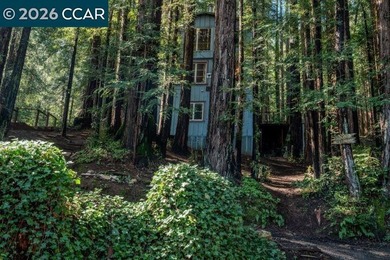Value-add opportunity in the heart of the Russian River area - photo 42