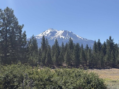 Not only does this home have a stunning view of Mount Shasta - photo 4