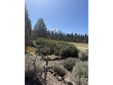 Not only does this home have a stunning view of Mount Shasta - photo 7