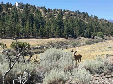 Not only does this home have a stunning view of Mount Shasta - photo 8