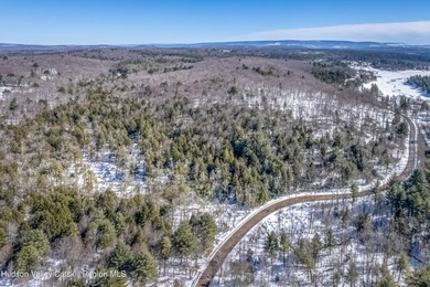 Nestled in the Catskill mountain range, private yet convenient - photo 3