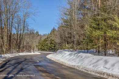 Nestled in the Catskill mountain range, private yet convenient - photo 5