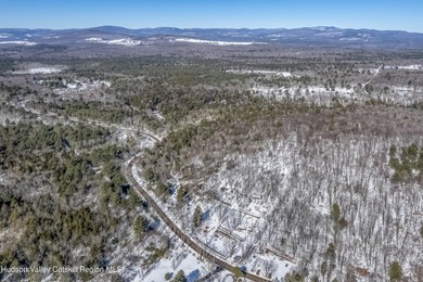 Nestled in the Catskill mountain range, private yet convenient - photo 8