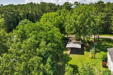Build your Dream Getaway on Beautiful Lake Blackshear with this - photo 5