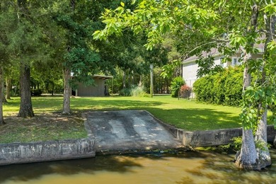 Build your Dream Getaway on Beautiful Lake Blackshear with this - photo 7