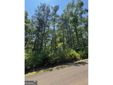 Carters Lake Lot For Sale in Ellijay Georgia