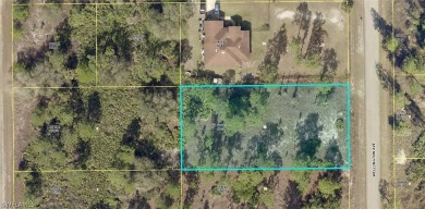 Lehigh Acres Area Lot For Sale in Lehigh Acres Florida