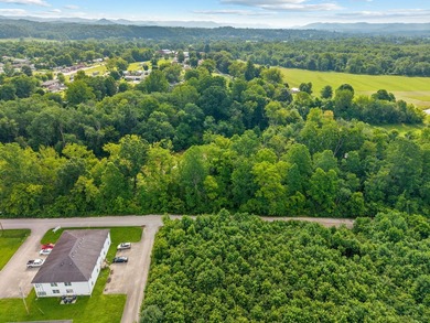 PRIME RIVERFRONT LOTS IN CLAY CITY! Don't miss this incredible - photo 32