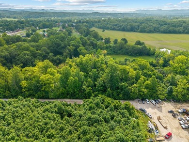 PRIME RIVERFRONT LOTS IN CLAY CITY! Don't miss this incredible - photo 38