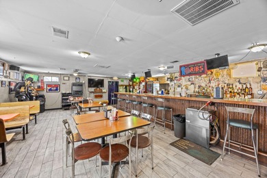 Woodland Lake - Newaygo County Commercial For Sale in Bitely Michigan