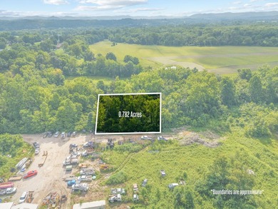 PRIME RIVERFRONT LOTS IN CLAY CITY! Don't miss this incredible - photo 49