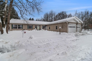 Lake Home For Sale in Hart, Michigan