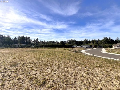 Welcome to THE LAKES, a brand-new gated community offering 15 - photo 21