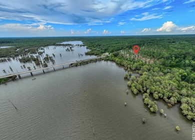 +/-20 acres on Lake Sam Rayburn! Rare opportunity to own - photo 2