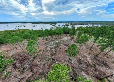 +/-20 acres on Lake Sam Rayburn! Rare opportunity to own - photo 6