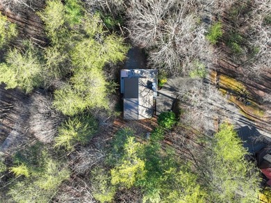 This retreat is the perfect mountain getaway. This remodeled - photo 42
