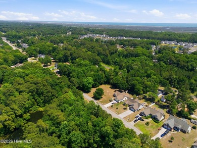 Welcome to Oak Ridge Plantation, where coastal convenience meets - photo 43