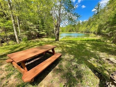 This retreat is the perfect mountain getaway. This remodeled - photo 45