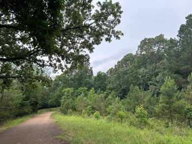 Sardis Lake Acreage For Sale in Batesville Mississippi