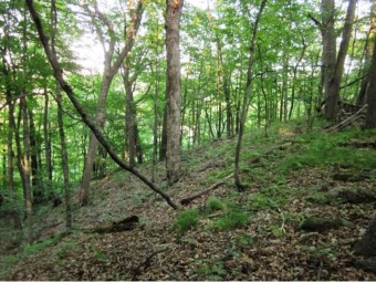 St. Croix River - Chisago County Acreage For Sale in Taylors Falls Minnesota