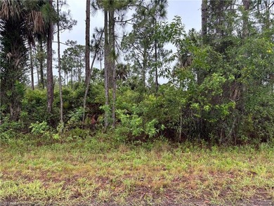 Lehigh Acres Area Lot For Sale in Lehigh Acres Florida