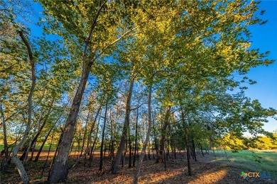 This 137 ac tract is a unique live-water property, offering - photo 18
