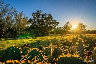 This 137 ac tract is a unique live-water property, offering - photo 19