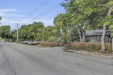 Unique and extraordinary triple (3) lot property located in Old - photo 29