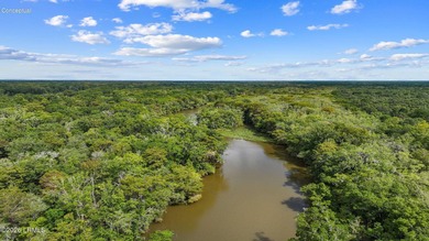 1/2 ACRE CORNER LOT ON CUL DE SAC WITH PRIVATE, TREELINED - photo 42