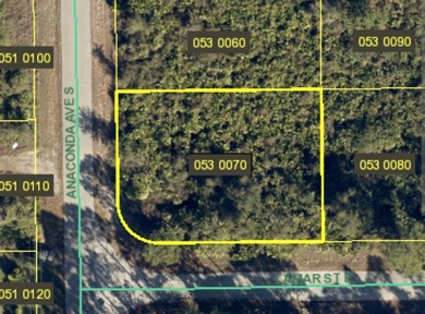 Lehigh Acres Area Lot For Sale in Lehigh Acres Florida