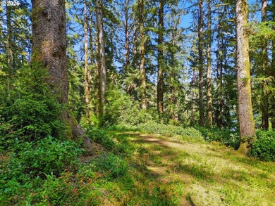 Rare Siltcoos Lake lakefront opportunity in Florence/Dunes - photo 3