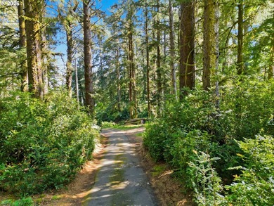 Rare Siltcoos Lake lakefront opportunity in Florence/Dunes - photo 5