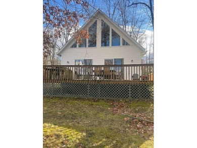 Lake Home For Sale in Reed City, Michigan