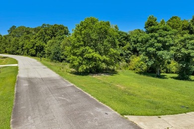 Build your dream home here! Highland Grange subdivision .53-acre - photo 1