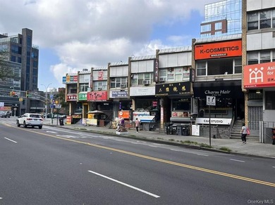 excellent investment property in Downtown flushing, total of 3 - photo 3