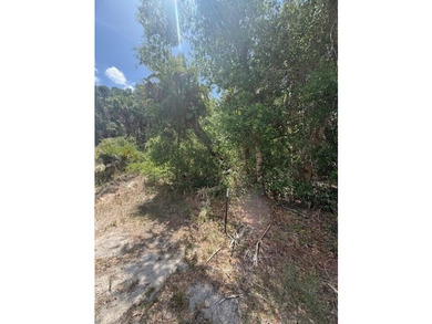 Build your Florida dream home on this prime homesite at 17191 - photo 4