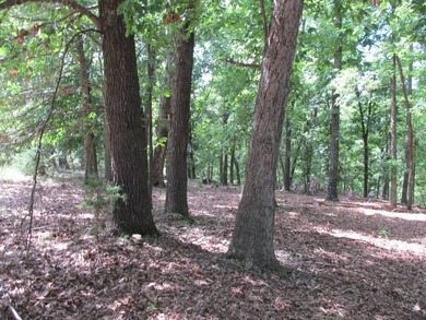 Lake property available just south of Eureka Springs in the - photo 14