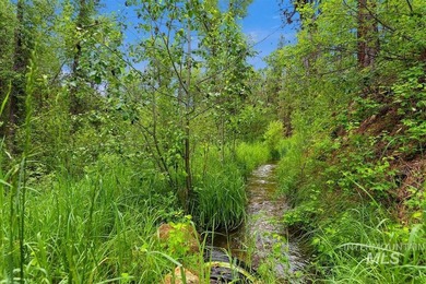 Garden Valley Paradise! Come join nature on a year around - photo 37