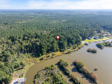 FIVE ACRES waterfront acreage in  gated Lake Eddins! - photo 18