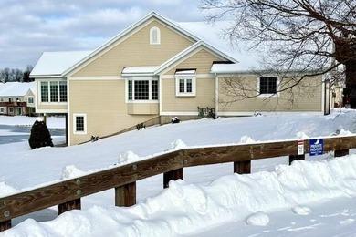 Lake Condo For Sale in Holland, Michigan