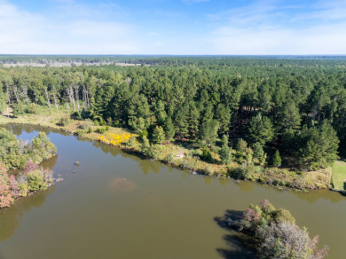 FIVE ACRES waterfront acreage in  gated Lake Eddins! - photo 13