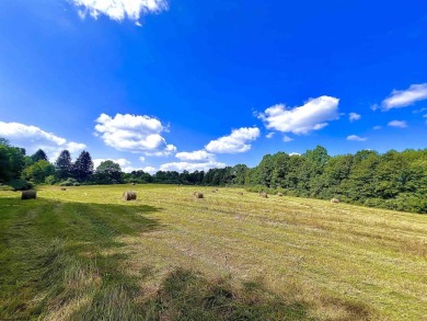 Lake Acreage For Sale in Independence, West Virginia