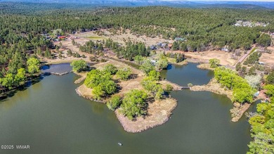 Rare Lakefront Property in the White Mountains - Approx. 15 - photo 11