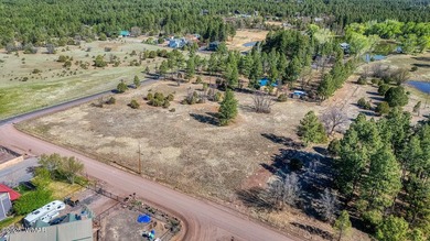 Rare Lakefront Property in the White Mountains - Approx. 15 - photo 15
